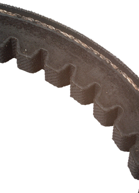 Cogged Raw Edge Belt - XPA Section - Belt No. XPA982
 - S.139190 - Massey Tractor Parts