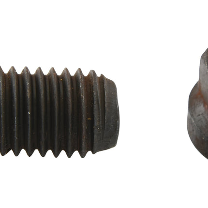 Conical Head Bolt 1 Flat with Nut (TC1M), Size: 14 x 45mm (25 pcs. Box)
 - S.74808 - Massey Tractor Parts