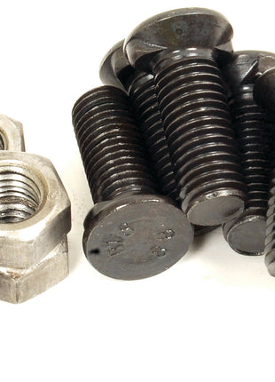 Countersunk Head Bolt 2 Nibs With Nut (TF2E), Replacement for Dowdeswell
 - S.76070 - Massey Tractor Parts