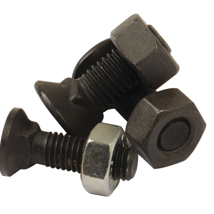 Countersunk Head Bolt 2 Nibs With Nut (TF2E), Replacement for Overum
 - S.76187 - Massey Tractor Parts