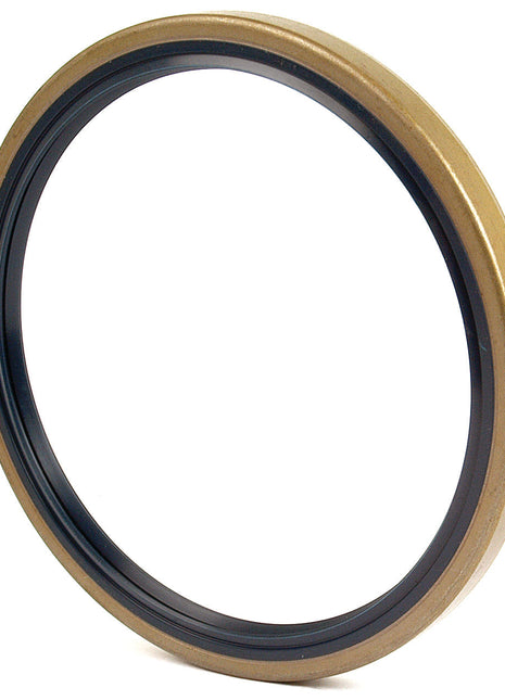 Metric Rotary Shaft Seal, 145 x 170 x 13mm
 - S.41606 - Massey Tractor Parts