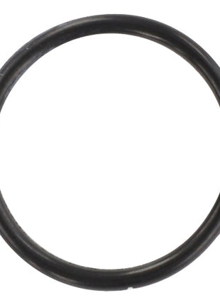ORing - 1888706M1 - Massey Tractor Parts