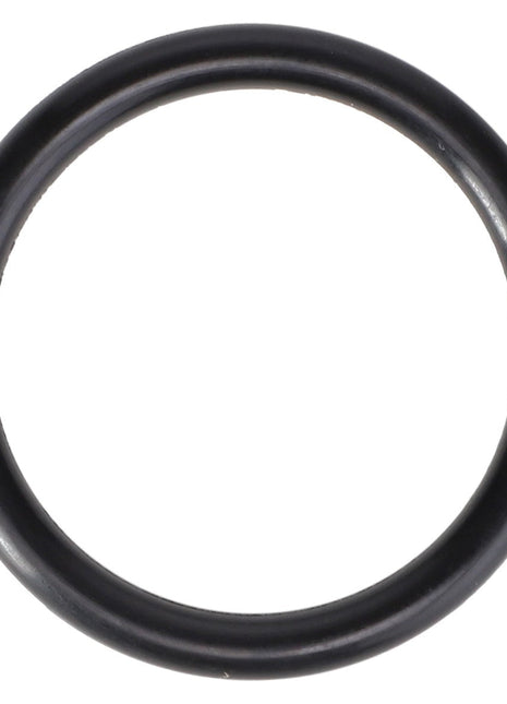 O- Ring - 400416X1 - Massey Tractor Parts