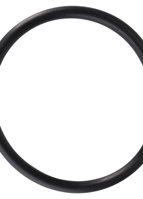 O ring - 831702M1 - Massey Tractor Parts