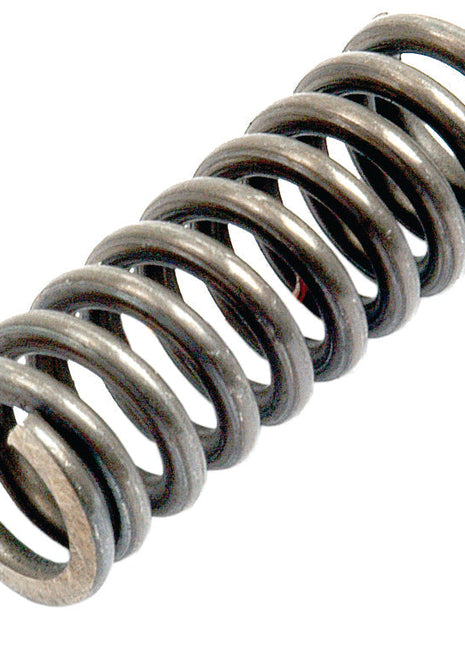 Plunger Spring
 - S.41974 - Massey Tractor Parts