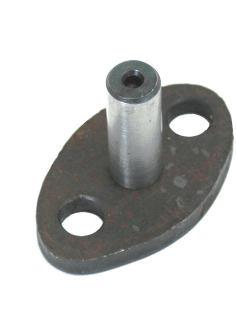 Pump Support Peg
 - S.41553 - Massey Tractor Parts