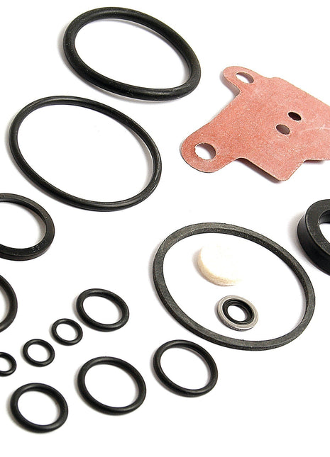 Seal Kit
 - S.40134 - Massey Tractor Parts