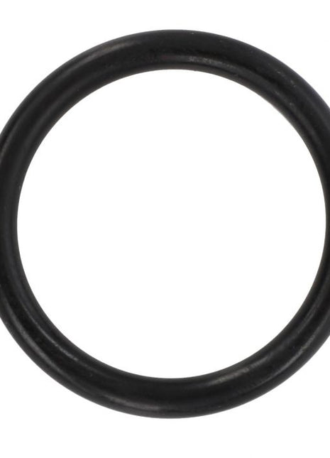 Steering Column O Ring - 1850234M1 - Massey Tractor Parts