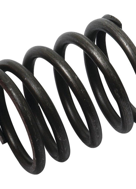 Valve Spring - Outer
 - S.40503 - Massey Tractor Parts