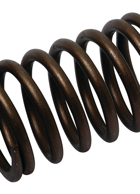 Valve Spring - Outer
 - S.40505 - Massey Tractor Parts
